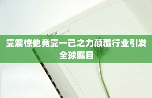 靠震惊他竟靠一己之力颠覆行业引发全球瞩目