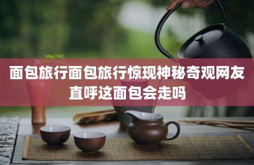 面包旅行面包旅行惊现神秘奇观网友直呼这面包会走吗