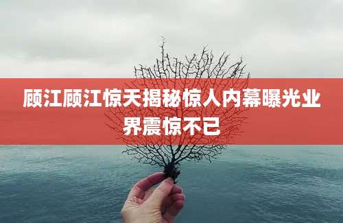 顾江顾江惊天揭秘惊人内幕曝光业界震惊不已