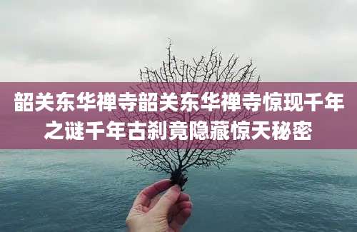 韶关东华禅寺韶关东华禅寺惊现千年之谜千年古刹竟隐藏惊天秘密