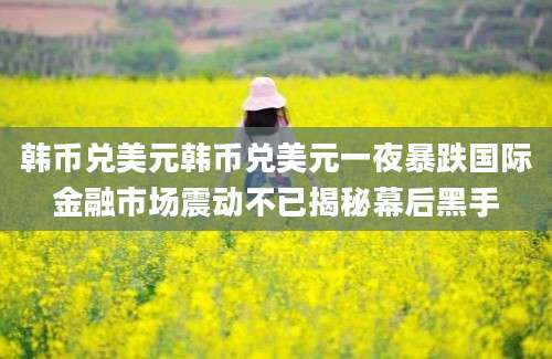 韩币兑美元韩币兑美元一夜暴跌国际金融市场震动不已揭秘幕后黑手