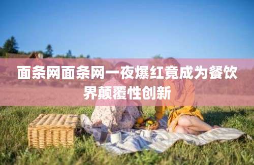面条网面条网一夜爆红竟成为餐饮界颠覆性创新