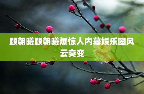顾朝曦顾朝曦爆惊人内幕娱乐圈风云突变