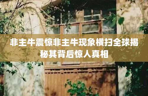 非主牛震惊非主牛现象横扫全球揭秘其背后惊人真相