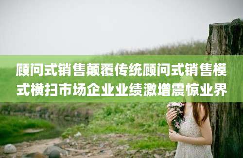 顾问式销售颠覆传统顾问式销售模式横扫市场企业业绩激增震惊业界
