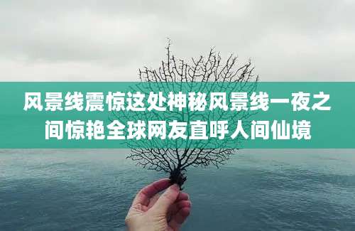 风景线震惊这处神秘风景线一夜之间惊艳全球网友直呼人间仙境