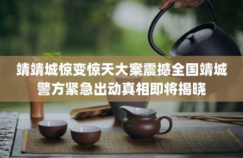 靖靖城惊变惊天大案震撼全国靖城警方紧急出动真相即将揭晓