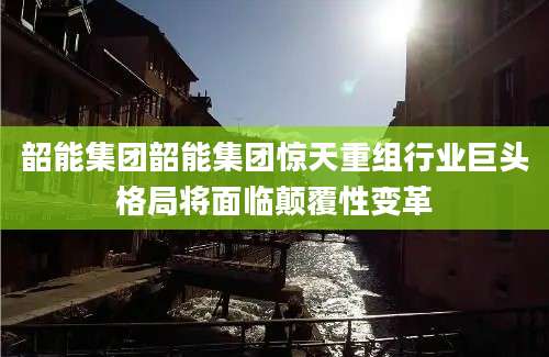 韶能集团韶能集团惊天重组行业巨头格局将面临颠覆性变革