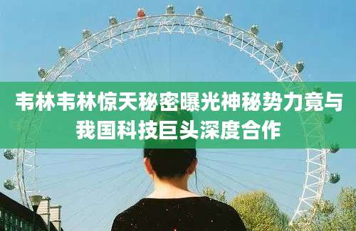 韦林韦林惊天秘密曝光神秘势力竟与我国科技巨头深度合作