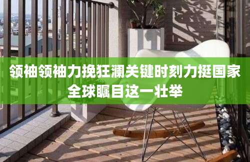 领袖领袖力挽狂澜关键时刻力挺国家全球瞩目这一壮举