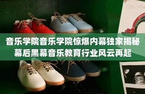 音乐学院音乐学院惊爆内幕独家揭秘幕后黑幕音乐教育行业风云再起
