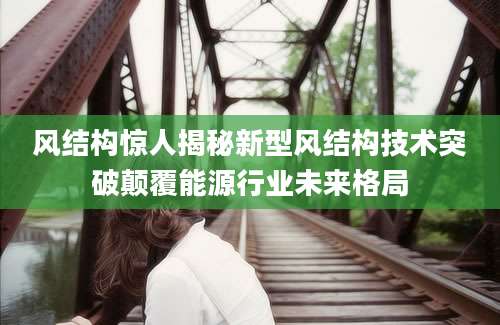风结构惊人揭秘新型风结构技术突破颠覆能源行业未来格局