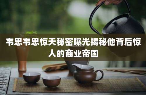 韦思韦思惊天秘密曝光揭秘他背后惊人的商业帝国