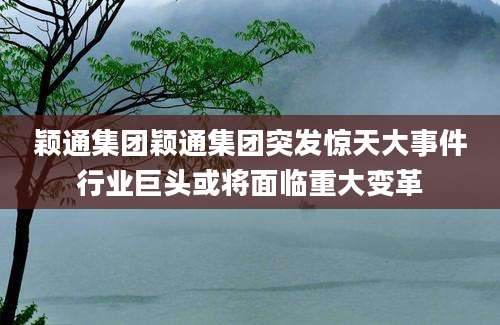 颖通集团颖通集团突发惊天大事件行业巨头或将面临重大变革