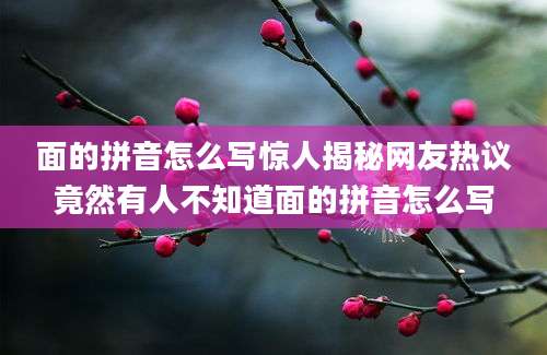 面的拼音怎么写惊人揭秘网友热议竟然有人不知道面的拼音怎么写