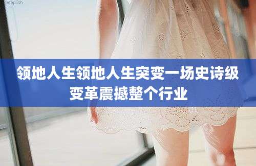 领地人生领地人生突变一场史诗级变革震撼整个行业