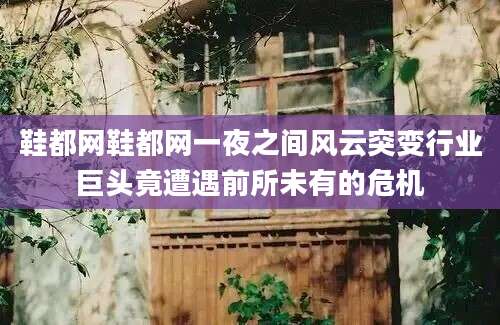 鞋都网鞋都网一夜之间风云突变行业巨头竟遭遇前所未有的危机