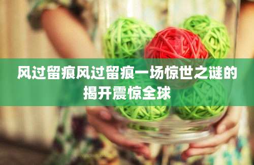 风过留痕风过留痕一场惊世之谜的揭开震惊全球