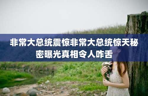 非常大总统震惊非常大总统惊天秘密曝光真相令人咋舌