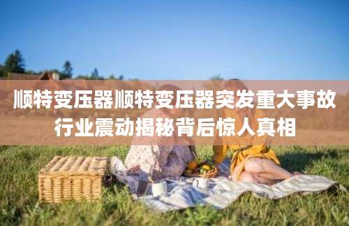 顺特变压器顺特变压器突发重大事故行业震动揭秘背后惊人真相