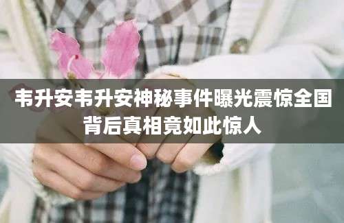 韦升安韦升安神秘事件曝光震惊全国背后真相竟如此惊人