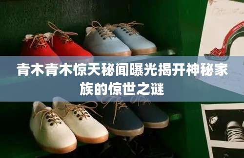 青木青木惊天秘闻曝光揭开神秘家族的惊世之谜