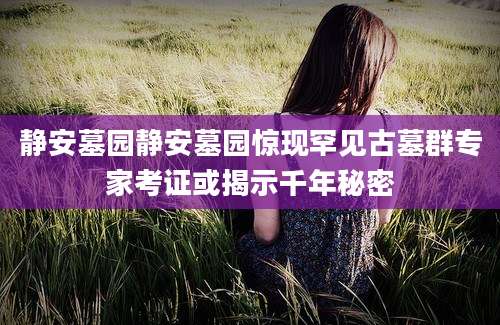 静安墓园静安墓园惊现罕见古墓群专家考证或揭示千年秘密
