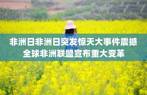 非洲日非洲日突发惊天大事件震撼全球非洲联盟宣布重大变革