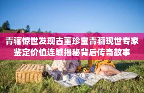 青骊惊世发现古董珍宝青骊现世专家鉴定价值连城揭秘背后传奇故事