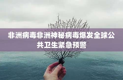 非洲病毒非洲神秘病毒爆发全球公共卫生紧急预警