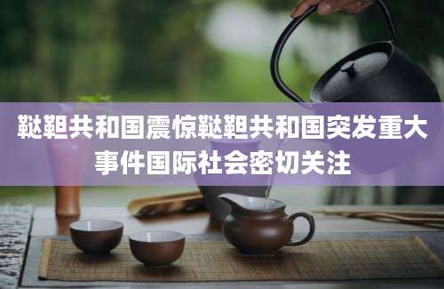 鞑靼共和国震惊鞑靼共和国突发重大事件国际社会密切关注