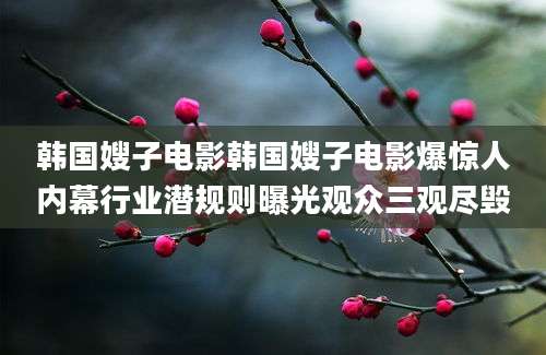韩国嫂子电影韩国嫂子电影爆惊人内幕行业潜规则曝光观众三观尽毁
