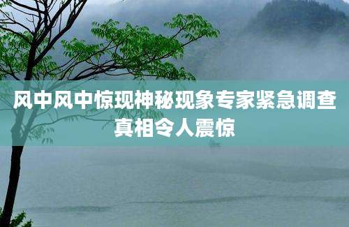 风中风中惊现神秘现象专家紧急调查真相令人震惊