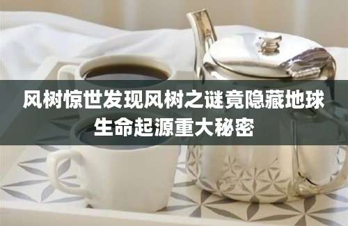 风树惊世发现风树之谜竟隐藏地球生命起源重大秘密