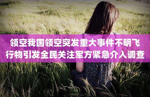 领空我国领空突发重大事件不明飞行物引发全民关注军方紧急介入调查
