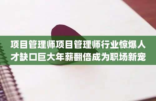 项目管理师项目管理师行业惊爆人才缺口巨大年薪翻倍成为职场新宠