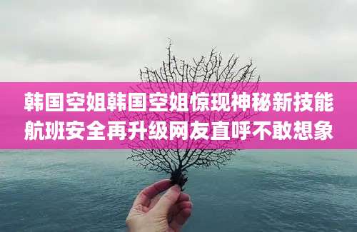 韩国空姐韩国空姐惊现神秘新技能航班安全再升级网友直呼不敢想象