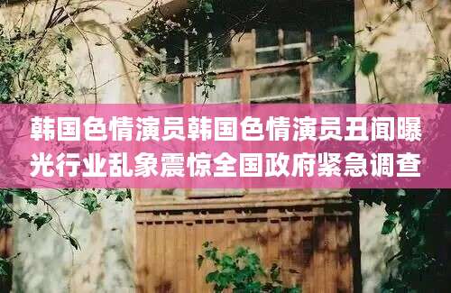 韩国色情演员韩国色情演员丑闻曝光行业乱象震惊全国政府紧急调查