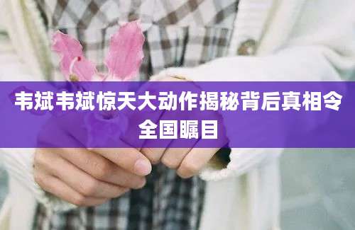 韦斌韦斌惊天大动作揭秘背后真相令全国瞩目