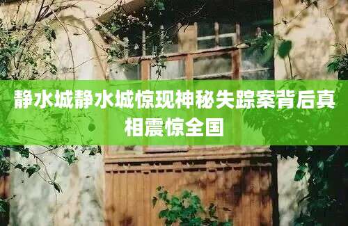 静水城静水城惊现神秘失踪案背后真相震惊全国