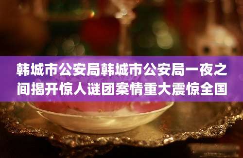 韩城市公安局韩城市公安局一夜之间揭开惊人谜团案情重大震惊全国