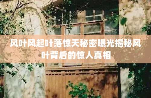 风叶风起叶落惊天秘密曝光揭秘风叶背后的惊人真相