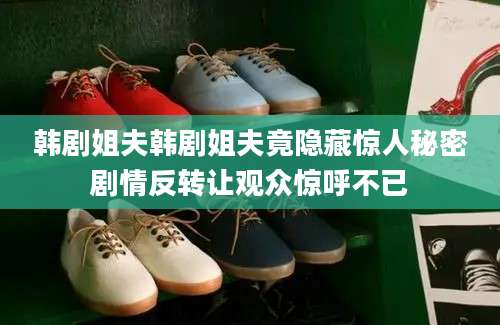韩剧姐夫韩剧姐夫竟隐藏惊人秘密剧情反转让观众惊呼不已