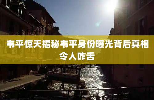 韦平惊天揭秘韦平身份曝光背后真相令人咋舌