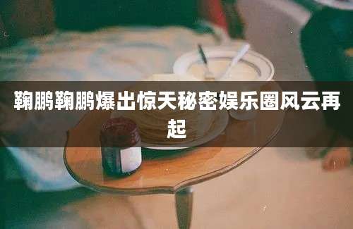 鞠鹏鞠鹏爆出惊天秘密娱乐圈风云再起