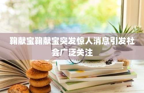 鞠献宝鞠献宝突发惊人消息引发社会广泛关注