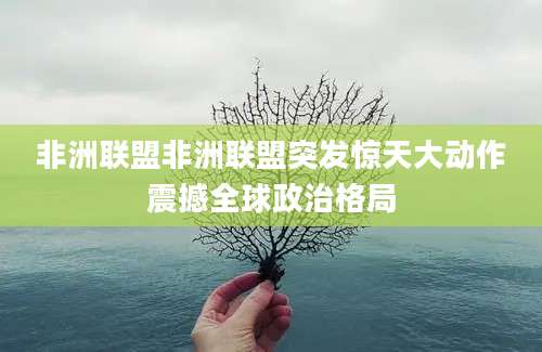 非洲联盟非洲联盟突发惊天大动作震撼全球政治格局