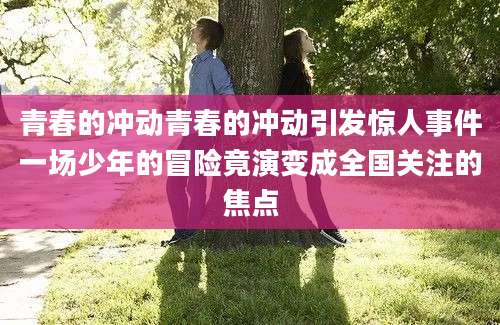 青春的冲动青春的冲动引发惊人事件一场少年的冒险竟演变成全国关注的焦点