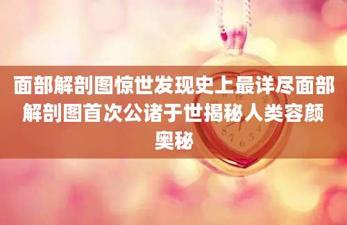 面部解剖图惊世发现史上最详尽面部解剖图首次公诸于世揭秘人类容颜奥秘