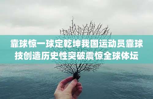 靠球惊一球定乾坤我国运动员靠球技创造历史性突破震惊全球体坛